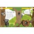 DK Forest Life and Woodland Creatures