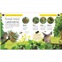 DK Forest Life and Woodland Creatures