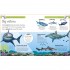 DK Sharks and Other Sea Creatures