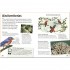 DK Birds