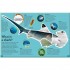 DK DKfindout! Sharks