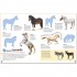 DK Horses and Ponies Ultimate Sticker Book