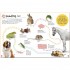 DK Pets Ultimate Sticker Book