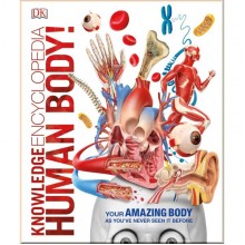 DK Knowledge Encyclopedia Human Body!