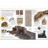 DK Fossil