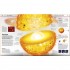 DK Knowledge Encyclopedia