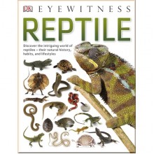 DK Reptile
