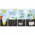DK RHS I Can Grow A Sunflower