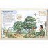 DK Bible Characters Visual Encyclopedia