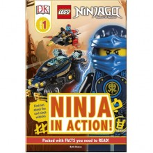 DK LEGO NINJAGO Ninja in Action!