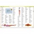 DK First Spanish Dictionary