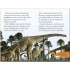 DK Dinosaurs Discovered