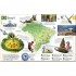 DK Our World in Pictures: Countries, Cultures, People and Places