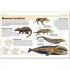 DK Mammals