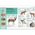 DK Mammals