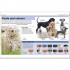 DK Pocket Eyewitness Dogs