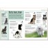 DK Pocket Eyewitness Dogs