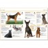DK Pocket Eyewitness Dogs