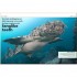 DK Pocket Eyewitness Sharks