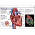 DK Pocket Eyewitness Human Body