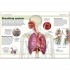 DK Pocket Eyewitness Human Body