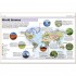 DK Pocket Eyewitness Earth