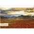DK Pocket Eyewitness Earth