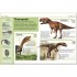 DK Pocket Eyewitness Dinosaurs