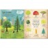 DK RHS The Magic and Mystery of Trees
