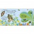 DK RHS How Does a Butterfly Grow?