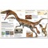 DK Knowledge Encyclopedia Dinosaur!