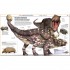 DK Knowledge Encyclopedia Dinosaur!