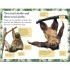 DK Sloths