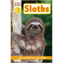 DK Sloths