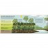 DK The Rainforest Book