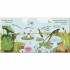 DK RHS How Does a Frog Grow?