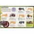 DK Total Tractor Sticker Encyclopedia