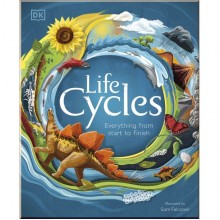 DK Life Cycles