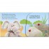 DK Pop-Up Peekaboo! Baby Animals