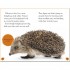 DK Hello Hedgehog