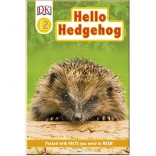 DK Hello Hedgehog