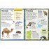 DK Sticker Encyclopedia Animals