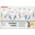 DK My Book of Gymnastics