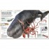 DK Knowledge Encyclopedia Ocean!