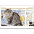 DK Pocket Eyewitness Cats