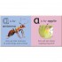 DK A is for Ant