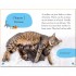 DK Reader Level 2: Cats and Kittens