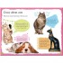 DK Reader Level 2: Cats and Kittens