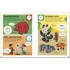 DK LEGO 100 Ways to Rebuild the World