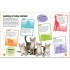 DK Sticker Encyclopedia Baby Animals